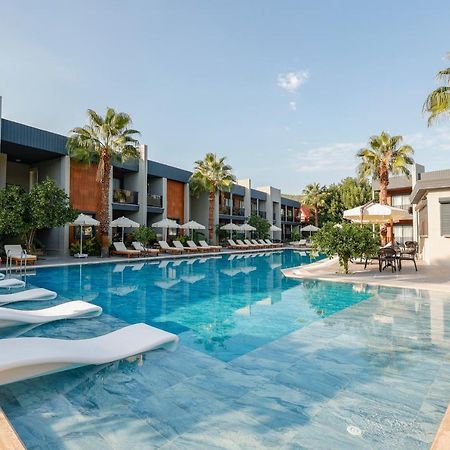 Forest In Hotel Κεμέρ Εξωτερικό φωτογραφία