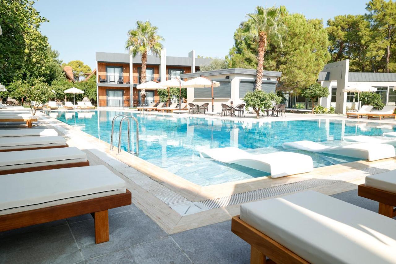 Forest In Hotel Κεμέρ Εξωτερικό φωτογραφία