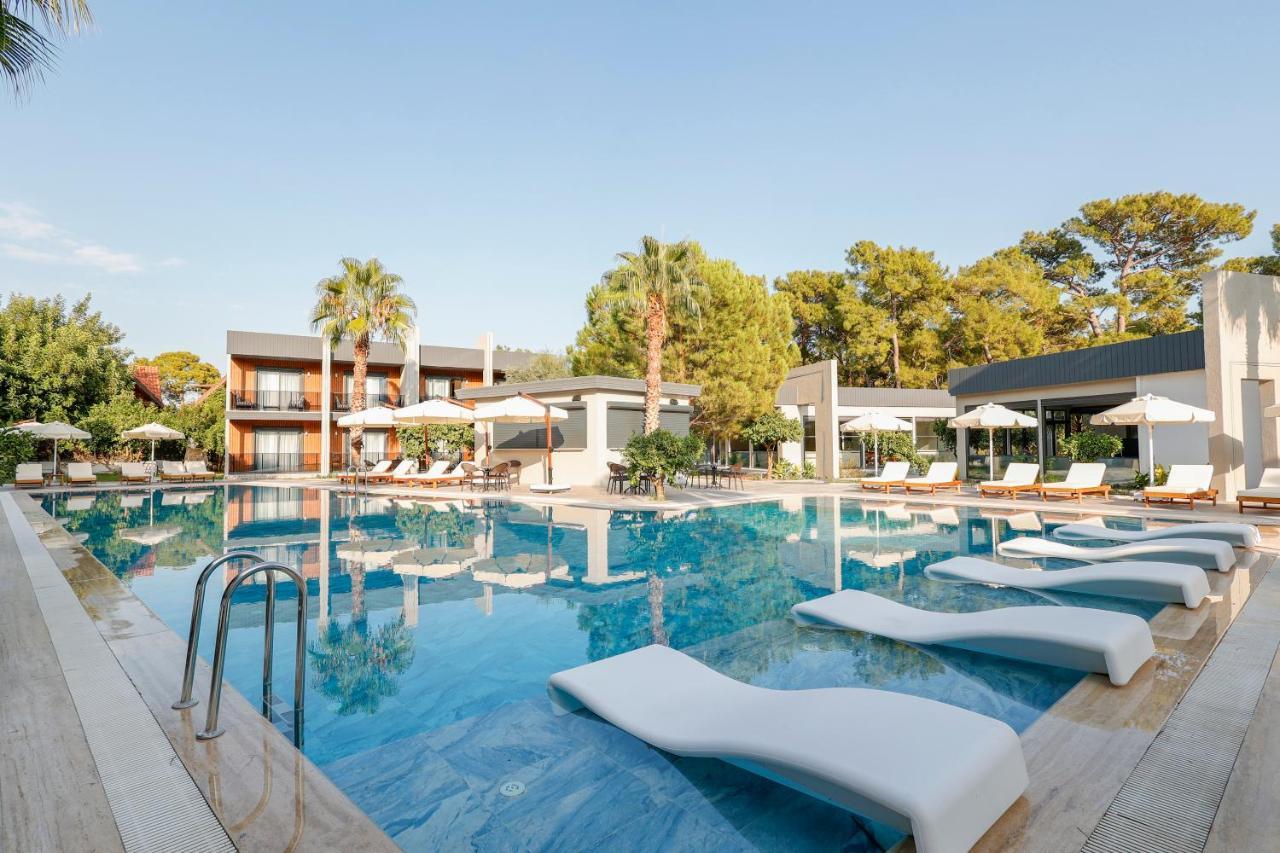 Forest In Hotel Κεμέρ Εξωτερικό φωτογραφία