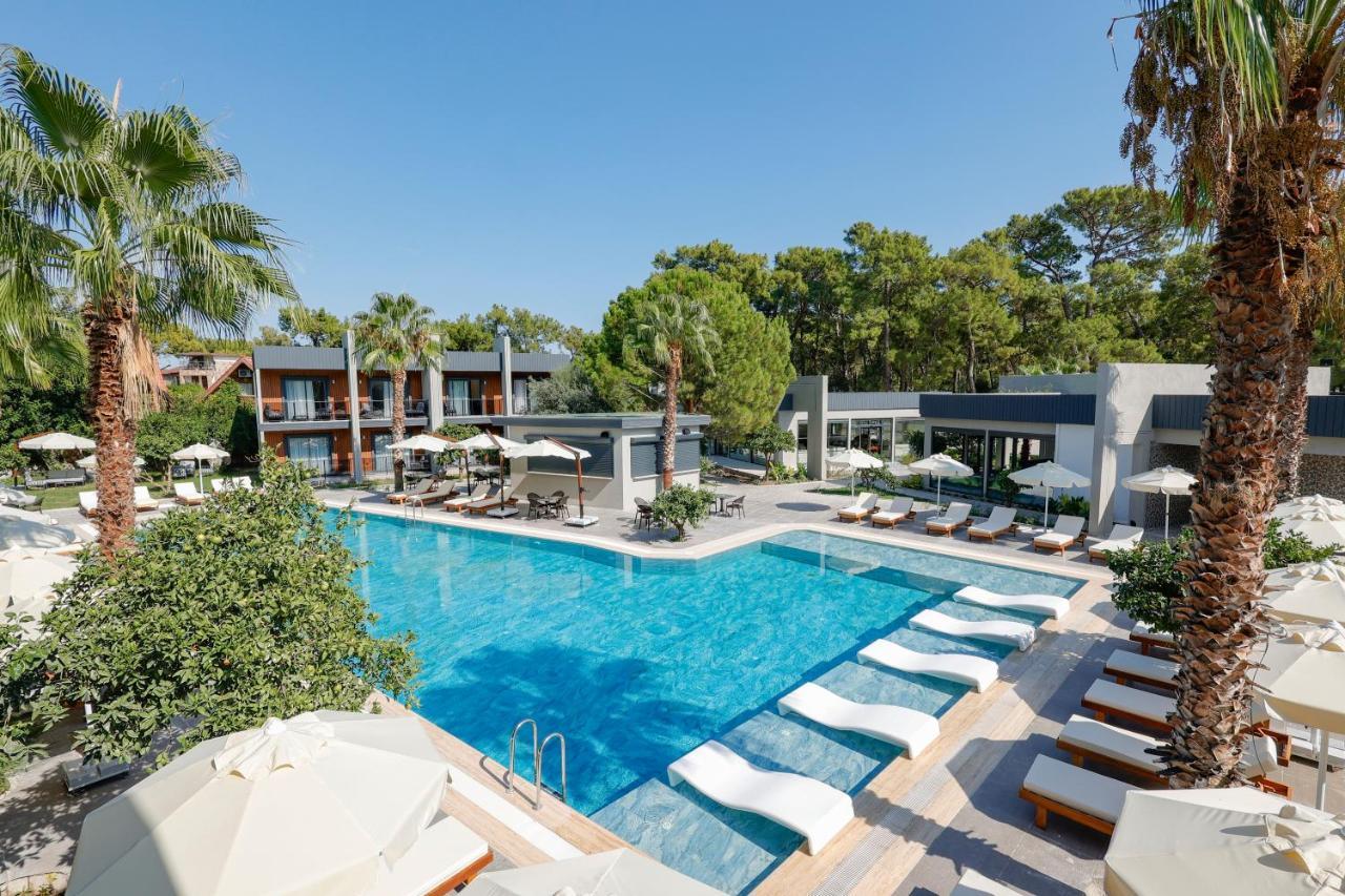 Forest In Hotel Κεμέρ Εξωτερικό φωτογραφία