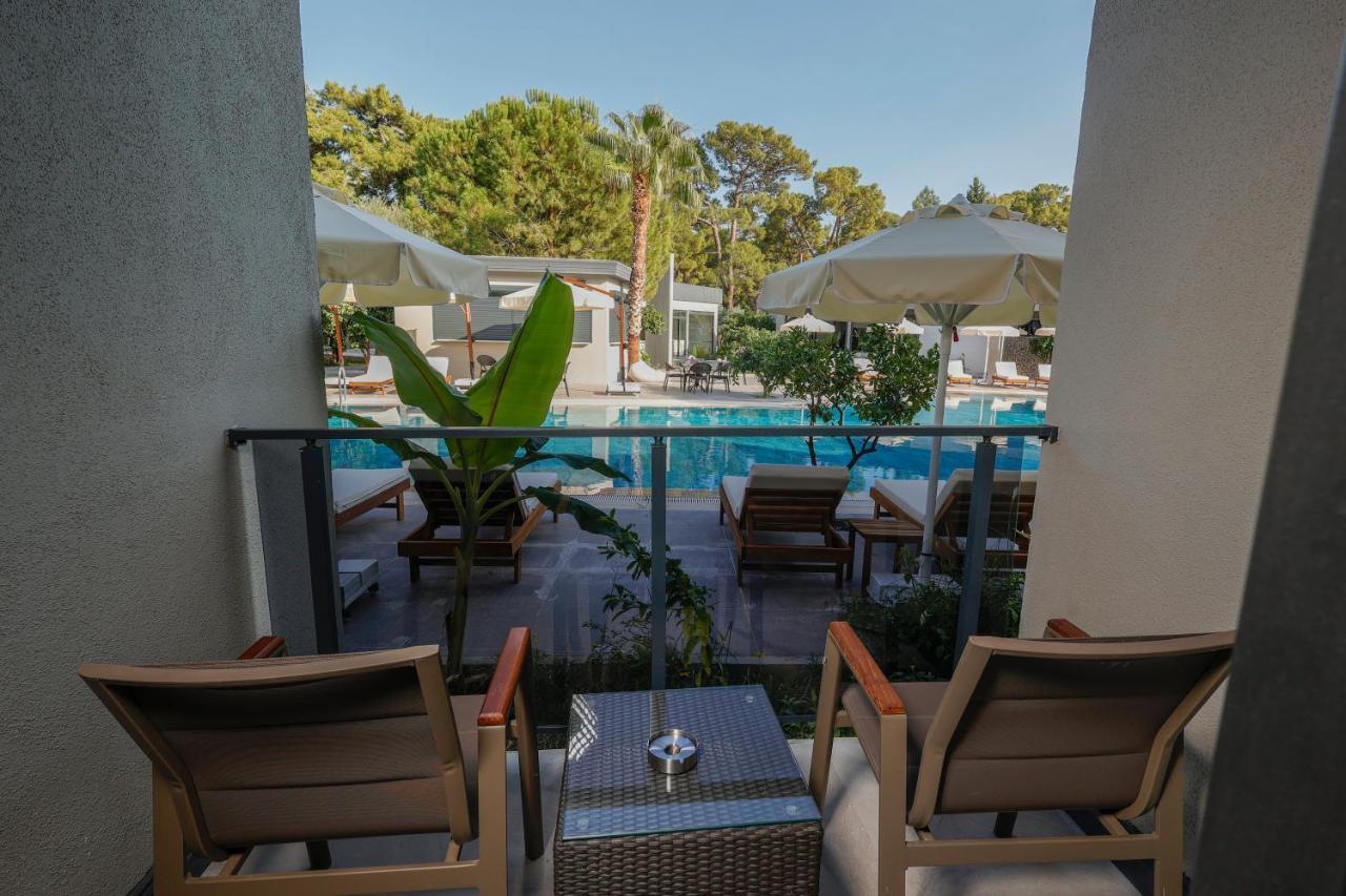 Forest In Hotel Κεμέρ Εξωτερικό φωτογραφία