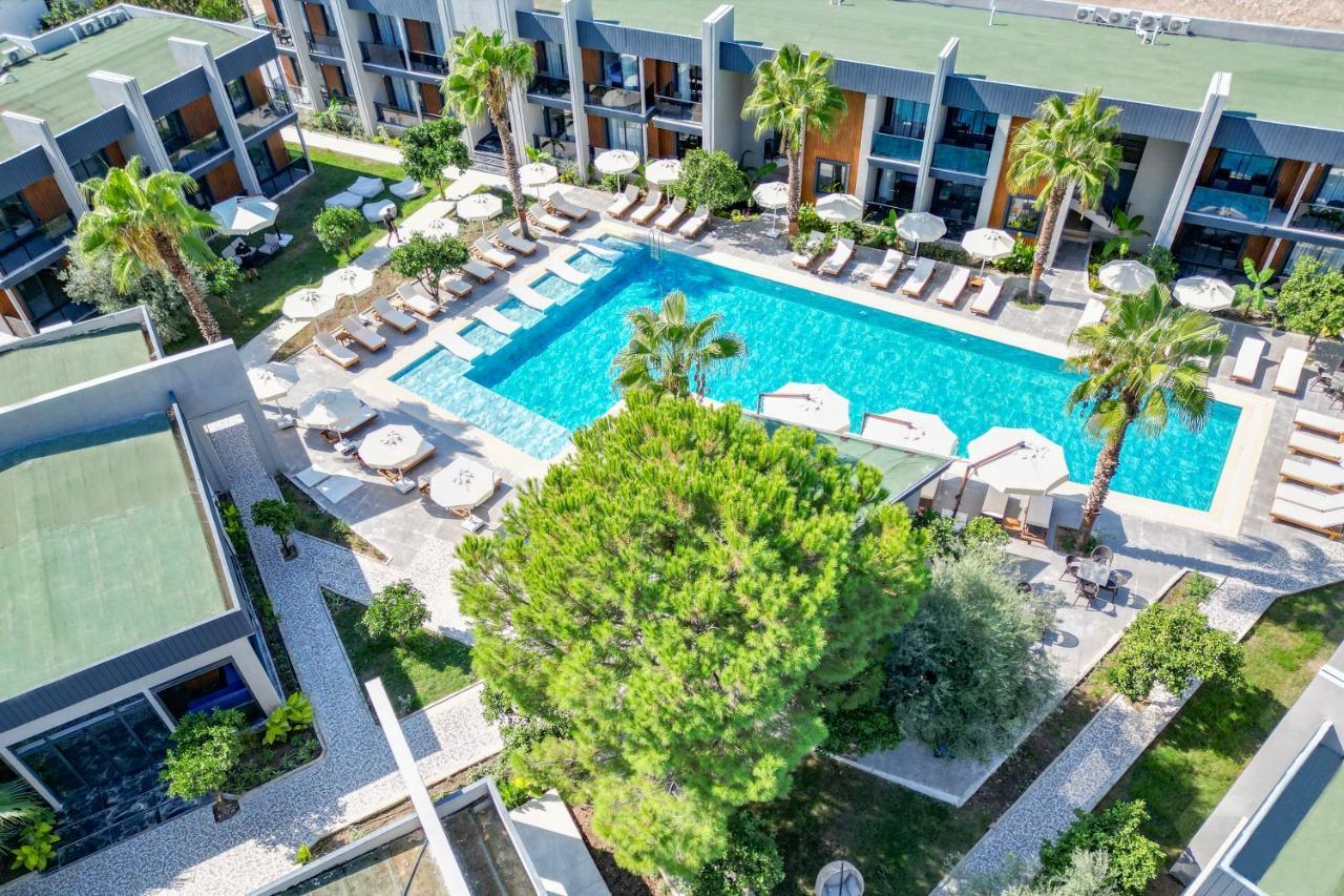 Forest In Hotel Κεμέρ Εξωτερικό φωτογραφία